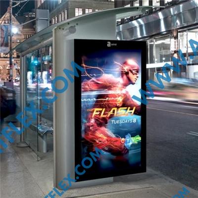 PET Film